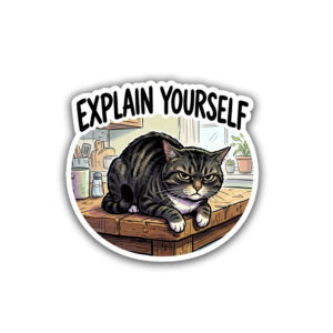"EXPLAIN YOUSELF"STICKER