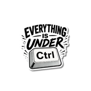 "EVERYTHING IS UNDER CONTROL"STICKER