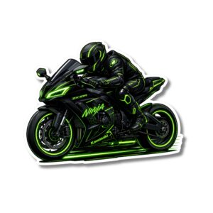 "THE RIDER"STICKER