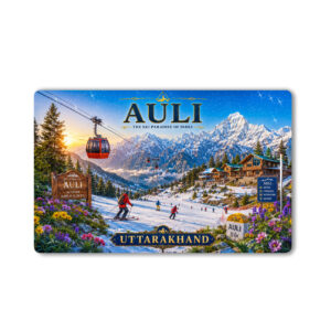 "AULI"85*54 MM RECTANGLE PVC GLITTER FINISH FRIDGE MAGNET